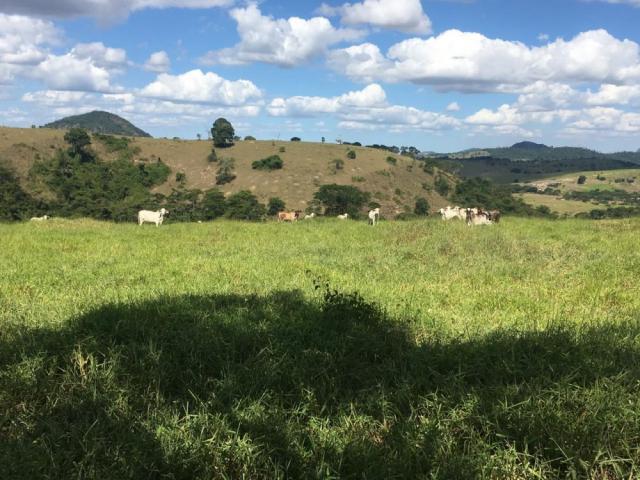 Fazenda - Centro Guaratinga - Foto 2