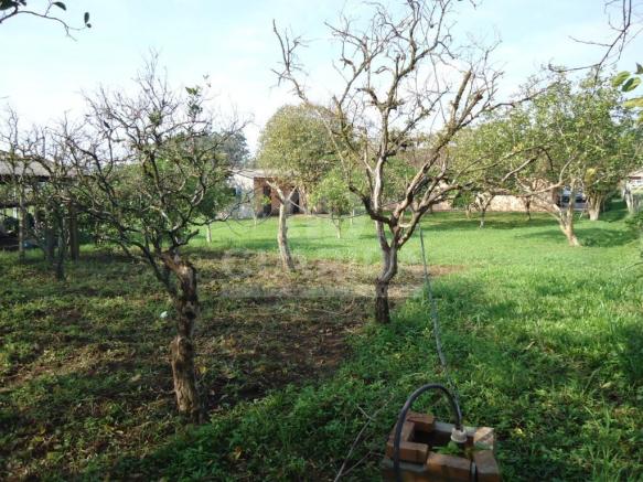 Chácara à venda em Lomba grande, Novo hamburgo cod:64492 - Foto 11