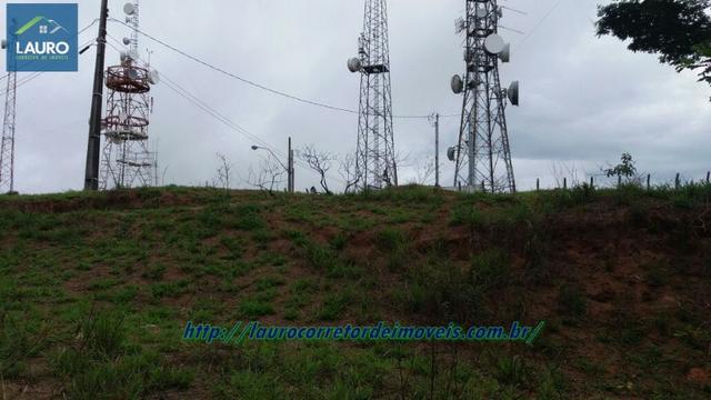 Terra com 8 alqueires a 13 km de T. Otoni - Foto 4