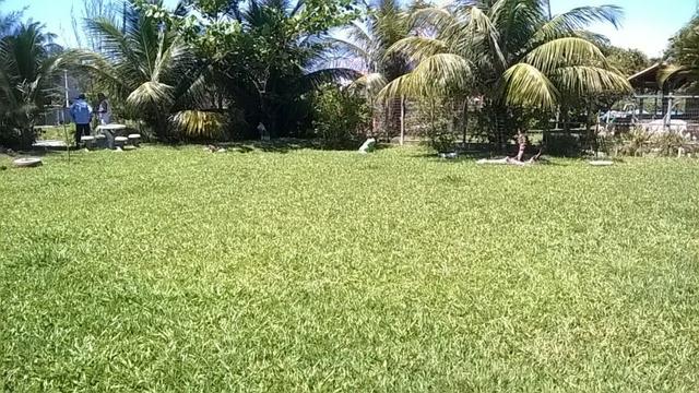 Bon: Cod 1569 Jaconé- Saquarema - Foto 5