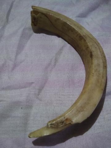 Antiga presa - Foto 2