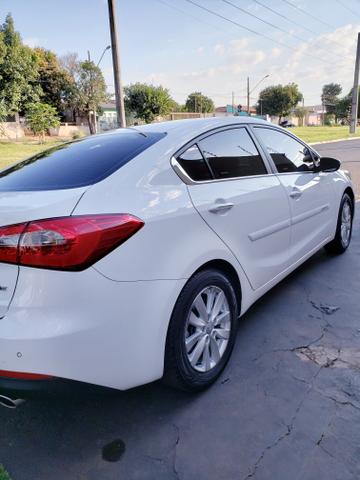 Cerato