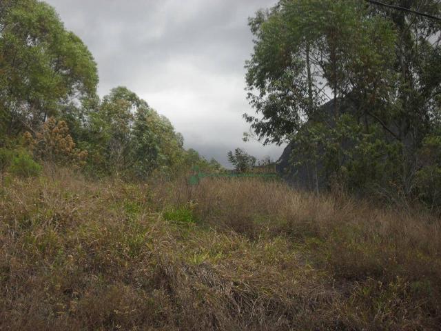 Terreno à venda, 2241 m² por R$ 80.000,00 - Vieira - Teresópolis/RJ - Foto 4