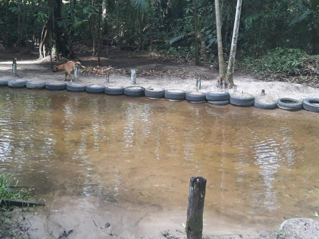 Sítio em Santa Bárbara - Foto 3