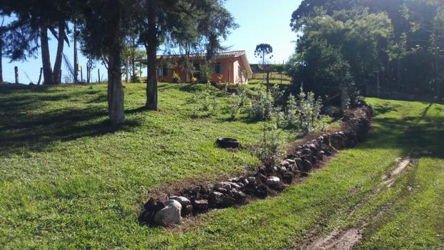 Chácara Bocaiuva do Sul - Foto 4