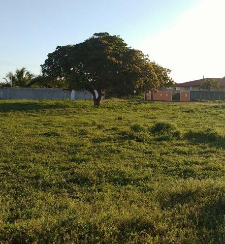 Terreno no Mosqueiro - Foto 3