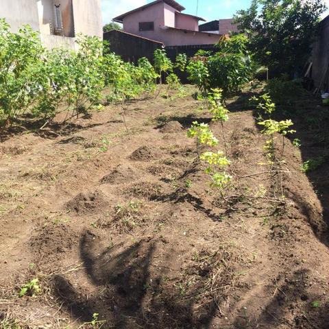 Aceito Proposta em Terreno 450m² Por 100Mil no Antares, Res. Casa Forte - Maceió