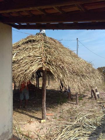 Fazenda 150 Hec - Foto 2