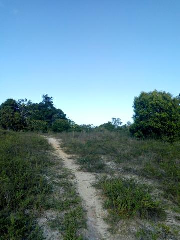 Duas áreas de terras - Foto 2