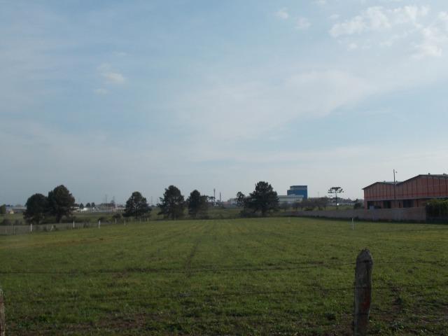 Vendo áreas lindas Costeira São José dos Pinhais Direto proprietario - Foto 12