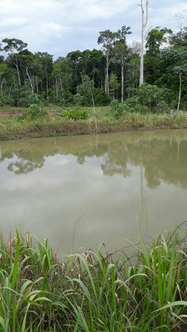 Vendo essa linda chacara - Foto 2