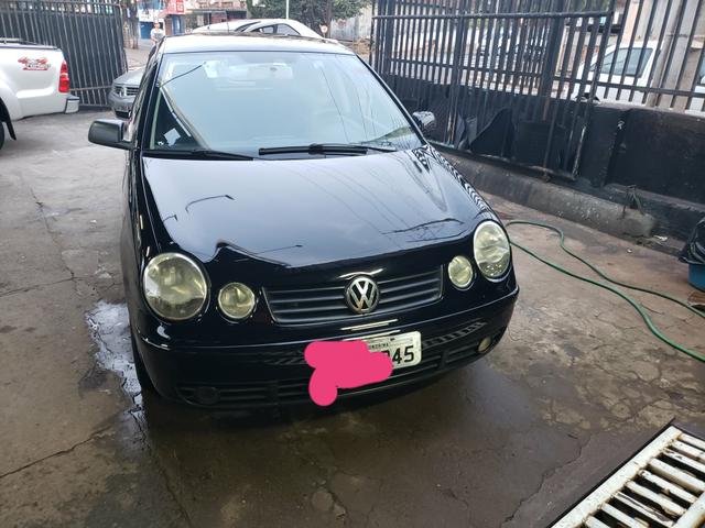 Polo 2006