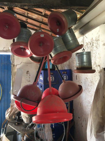Vendo ou troco bebedouro/comedouro e ninhos para galinhas - Foto 4