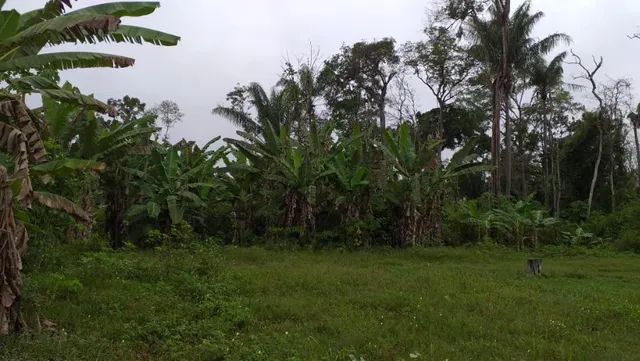 Vendo lote rural - Foto 4