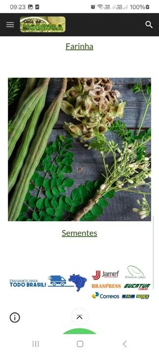 Casa da moringa Sementes e Farinha de Moringa