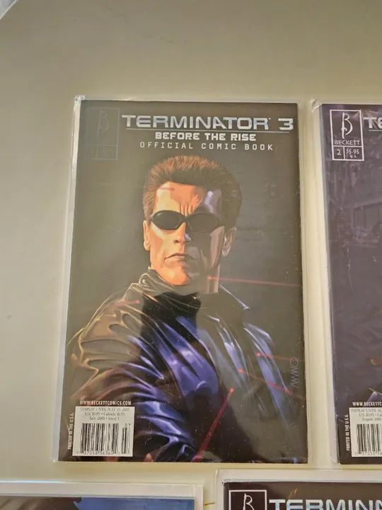Terminator 3: Before The Rise 