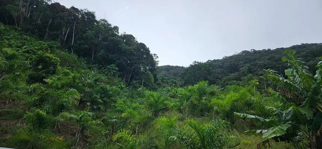 Lotes 1600mts Pedro de Toledo SP