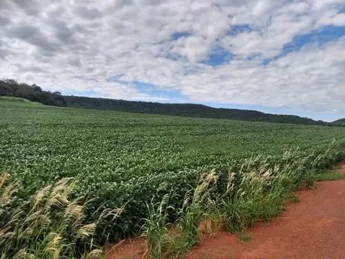 Fazenda de 405 alqueires em Caiapônia-Go - Foto 2