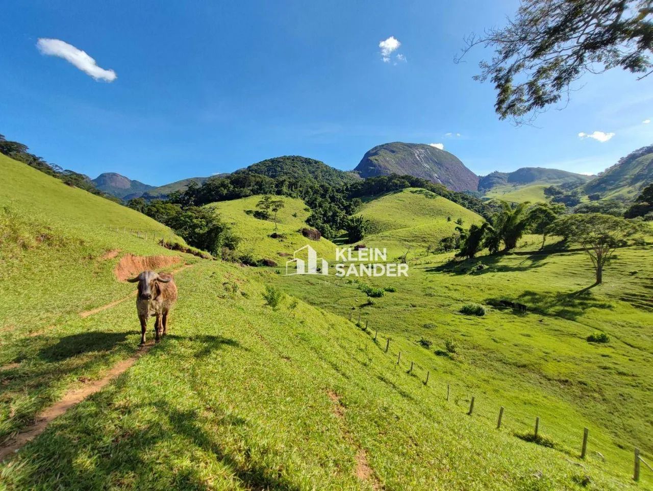 Fazenda Maravilhosa à venda, 41,25 alqueires (fluminense) por R$ 2.850.000 - Centro (Visco