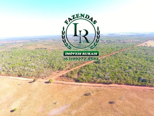 Fazenda 103 alqueires  Vale Araguaia - Foto 4