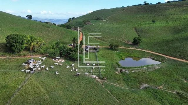 Belíssima fazenda de 52 hectares na melhor localização de Santana do Mundaú-AL - Foto 3