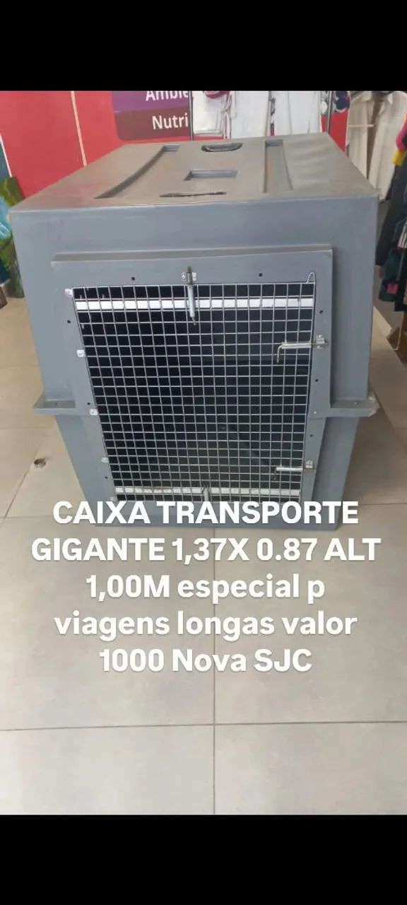 Caixa transporte 