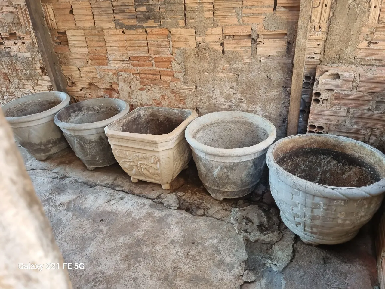 Vasos de plantas em cimento