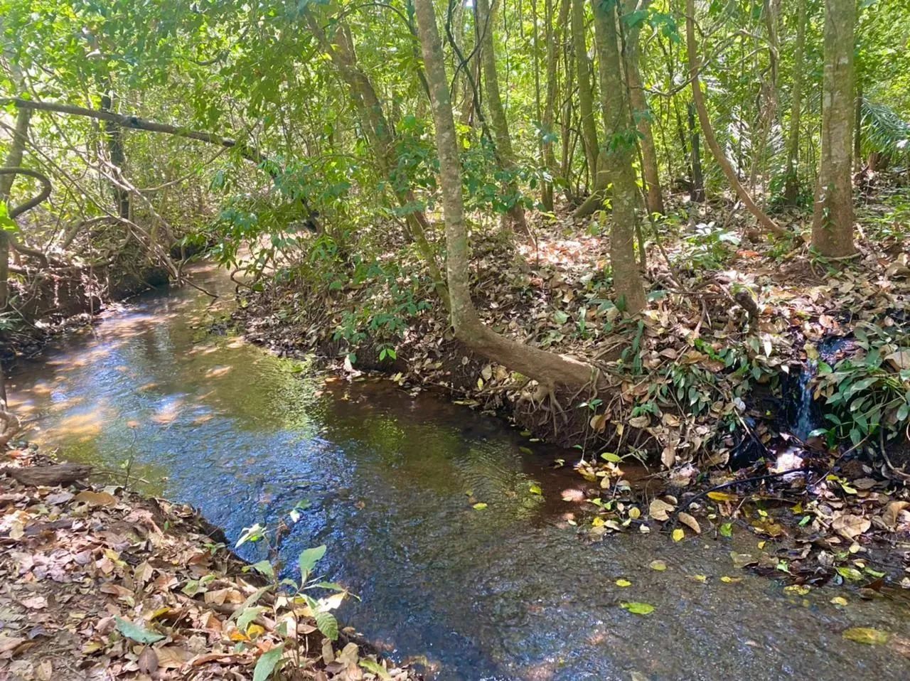 Área Escriturada em Bela Vista de Goiás - Foto 5