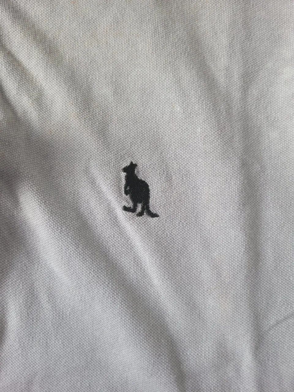 Camiseta Side Walk GG cinza esverdeado estonada - Foto 4