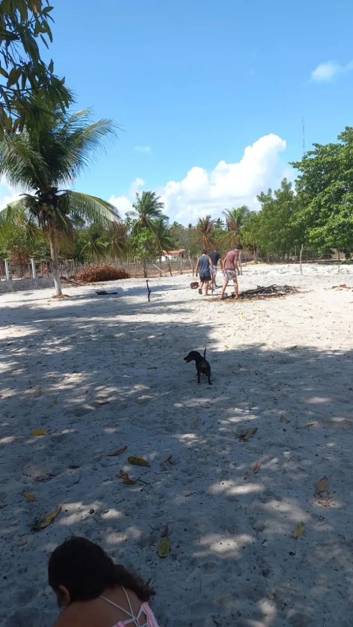 TERRENO NO PARACURU - 1600M2 - A 5 MINUTOS DA PRAIA - Foto 4