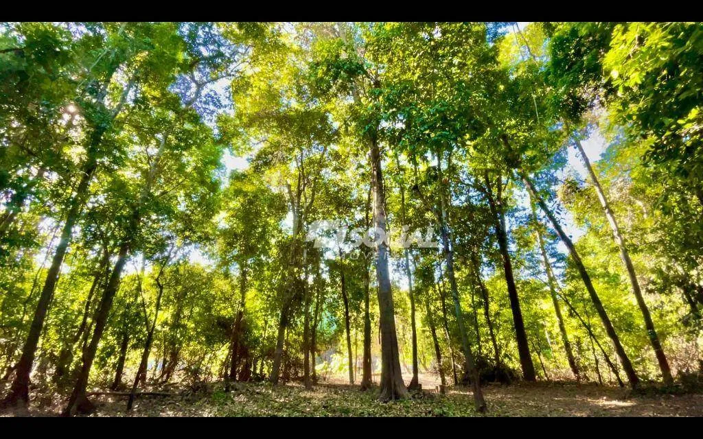 Chácara com 1 dormitório à venda, 3528 m² por R$ 100.000,00 - Zona Rural - Porto Velho/RO