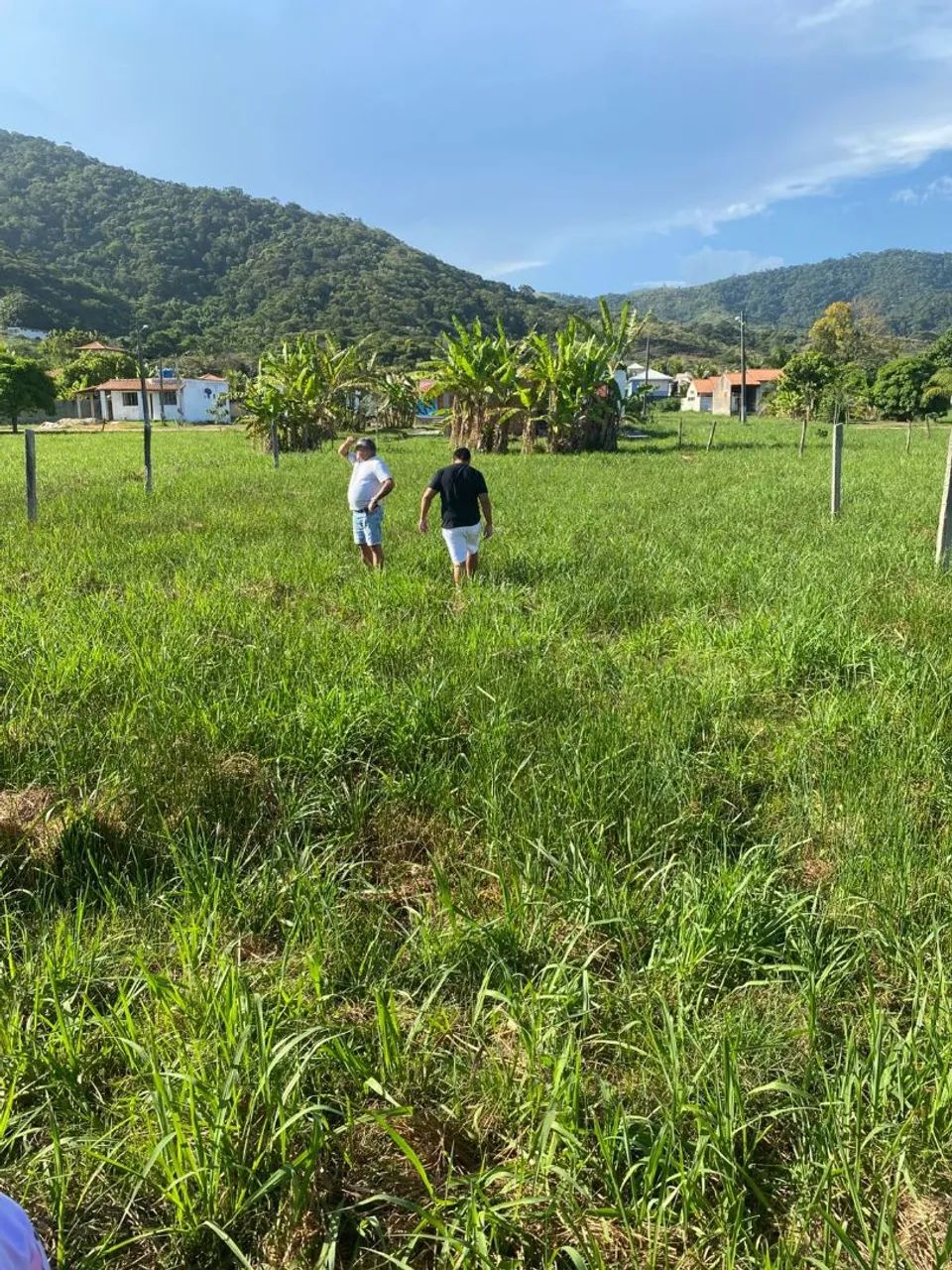 Terreno plano em Jaconé - Foto 3