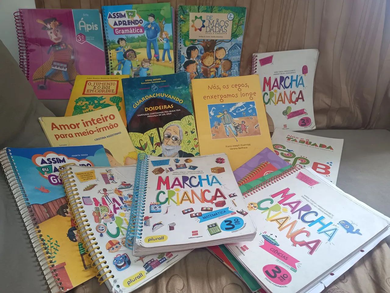 Livros Didáticos 3º Ano - Diversos Assuntos