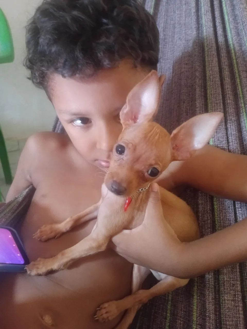 Vendo esse cachorro 