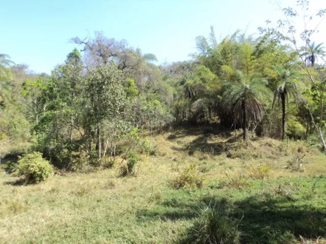 Mateus Leme  - 58.800 m² - Financiado -  R$ 100.000,00 entrada - Foto 3