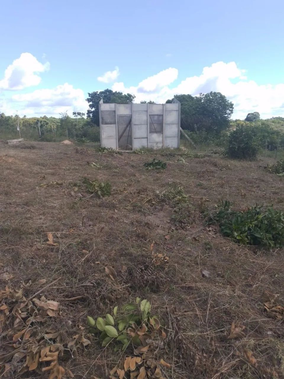 Foto - São Cristóvão - 