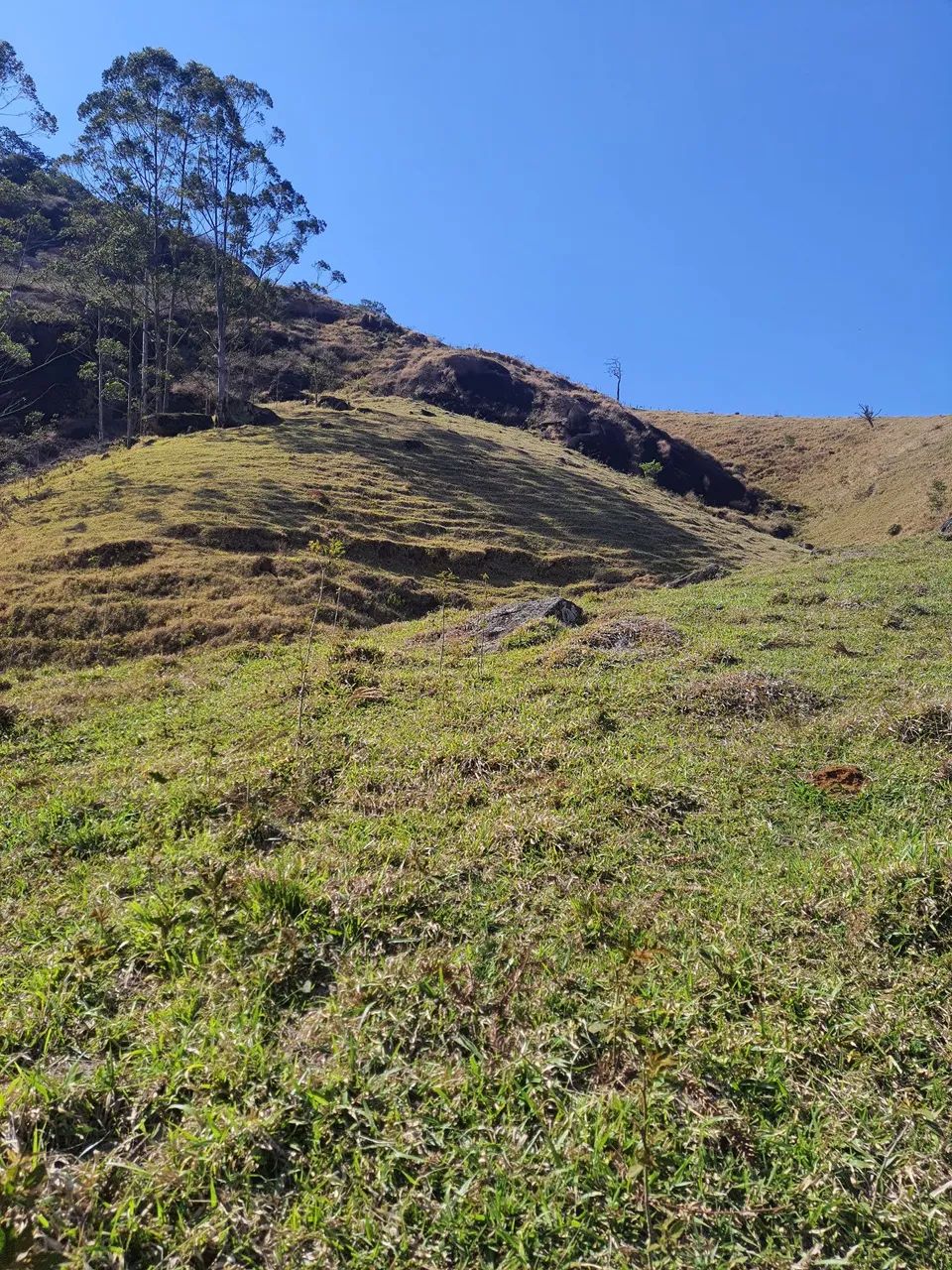 Terreno em São Francisco Xavier - Foto 7