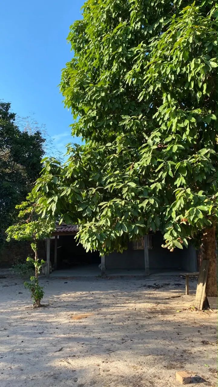 Lindo sítio pronto para morar - Foto 3