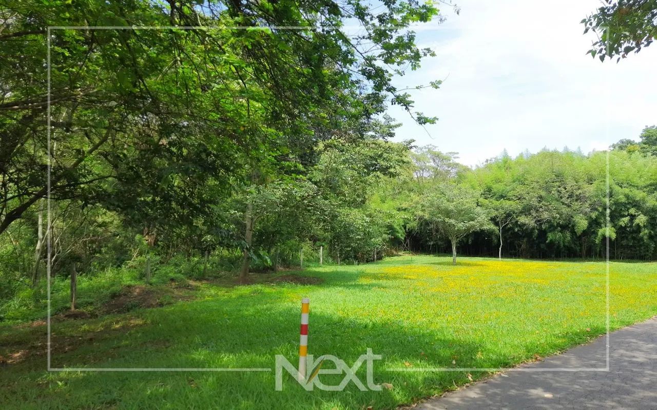 terreno - Sítios de Recreio Gramado - Campinas - Foto 4