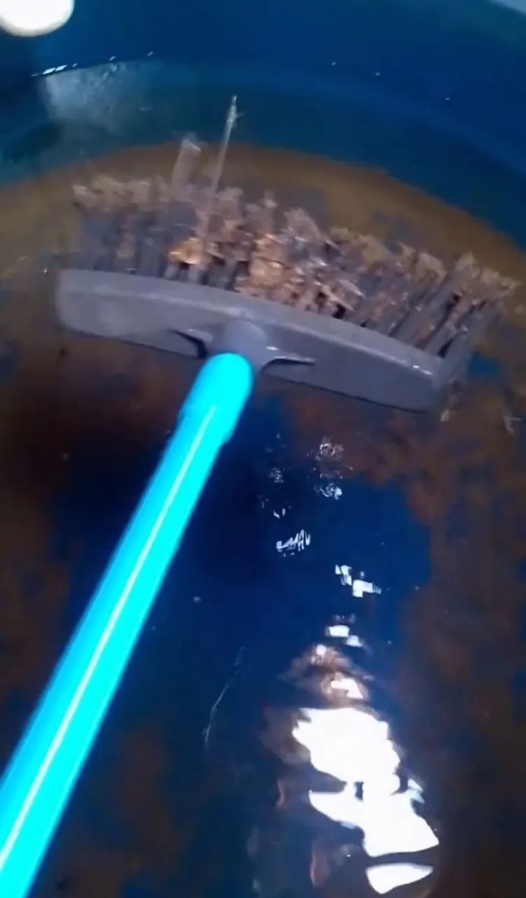 Limpeza de caixa D'água disponível disponível  - Foto 4