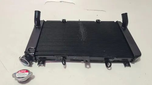 RK Radiador Kawasaki Z 900 17-19 Orig C/det S/vazamentos 63713
