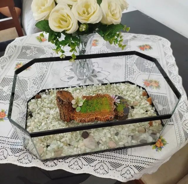 Aquário Terrário 