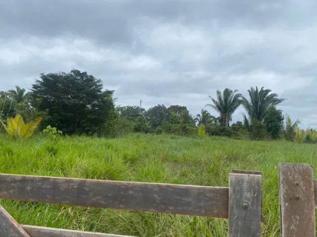 Sítio a 26 km de Porto Velho - Foto 3