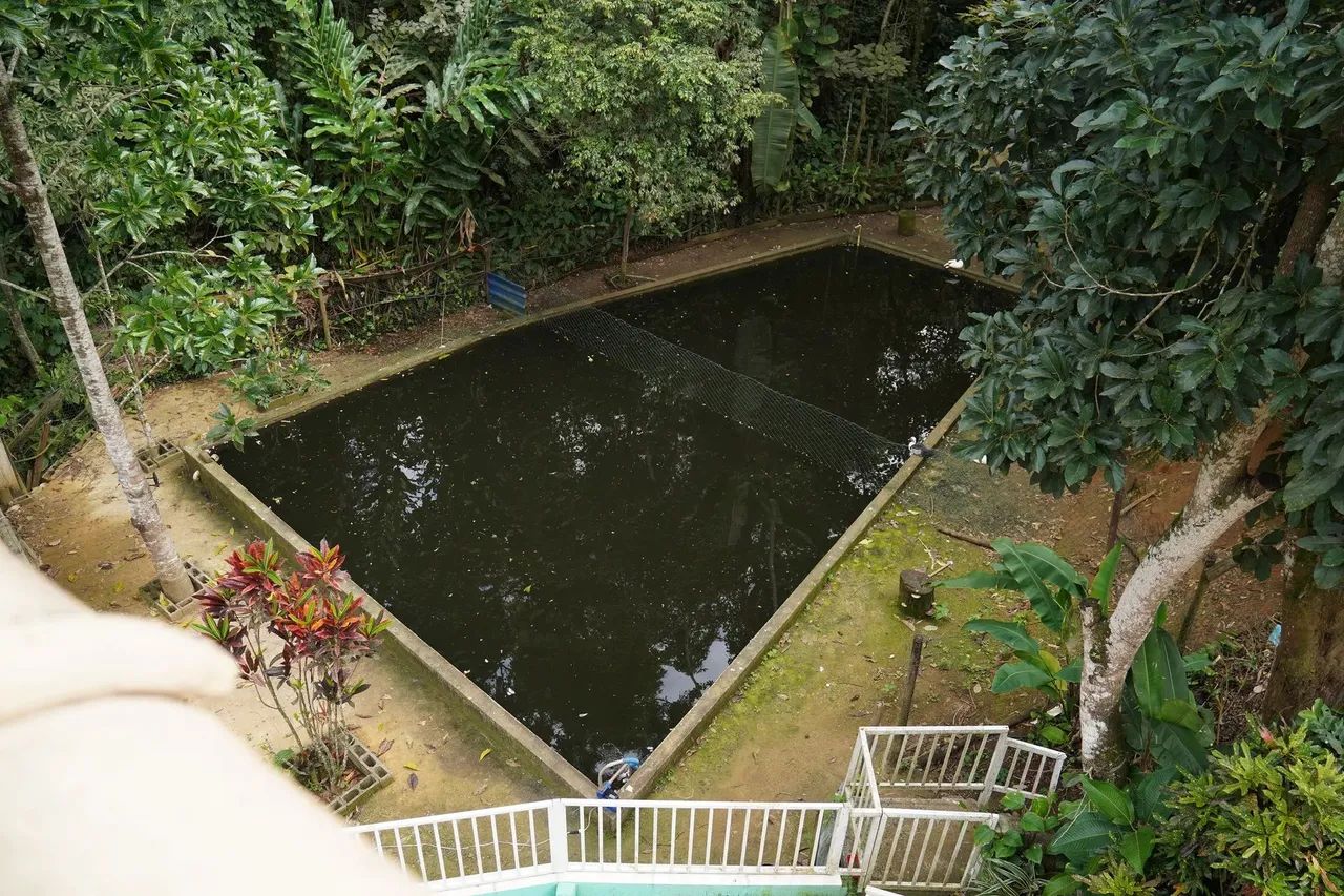 Edição Teste - Foto 4