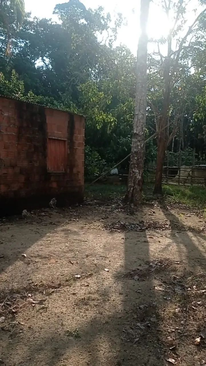 Vende-se um sítio em presidente Figueiredo  - Foto 4