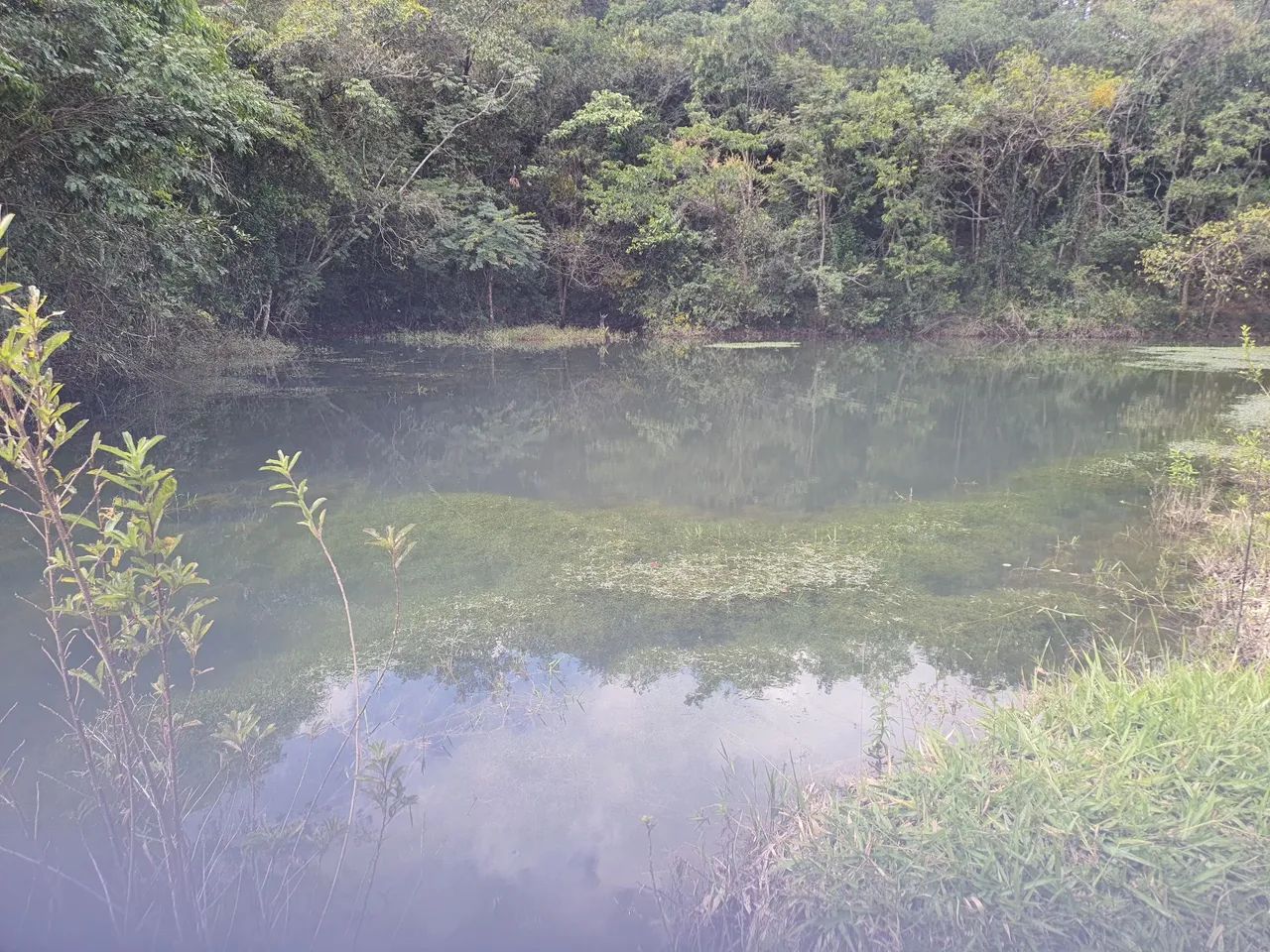FAZENDA PARÁ DE MINAS - Foto 4