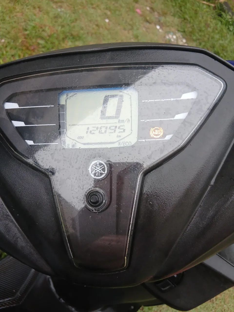 Yamara Fluor 125 - Foto 4
