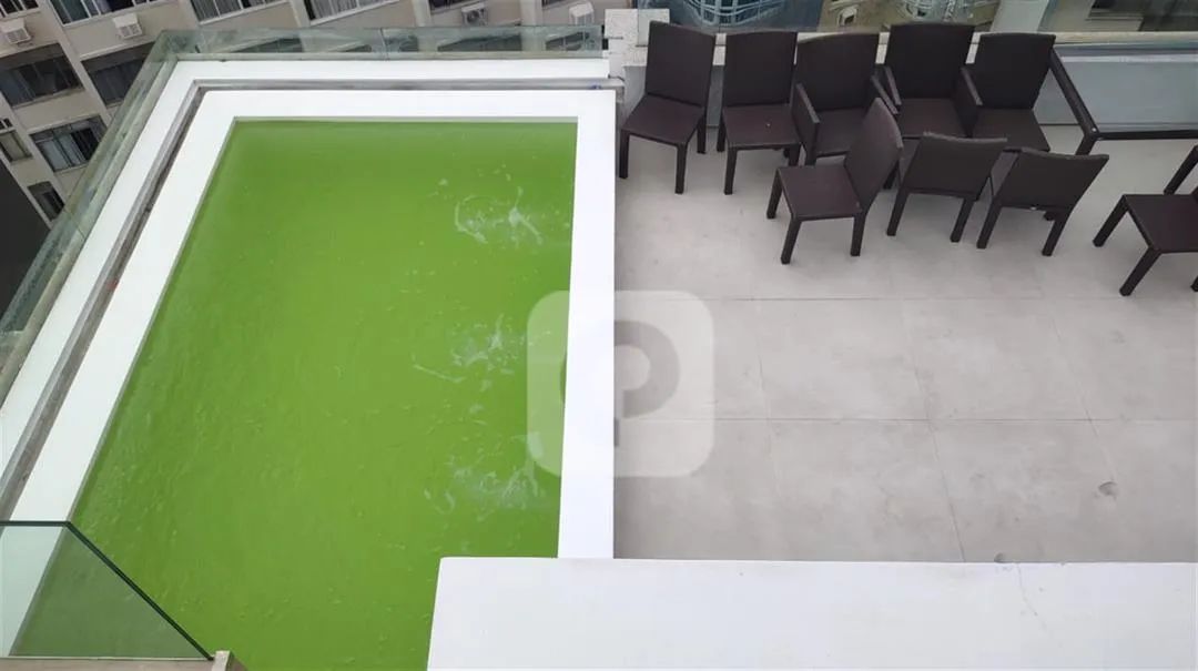 SELECIONE - Cobertura 4 quartos, sendo 4 suítes - Foto 5