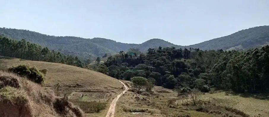 Fazenda com plantação de eucaliptos em Brasopolis MG - Foto 4