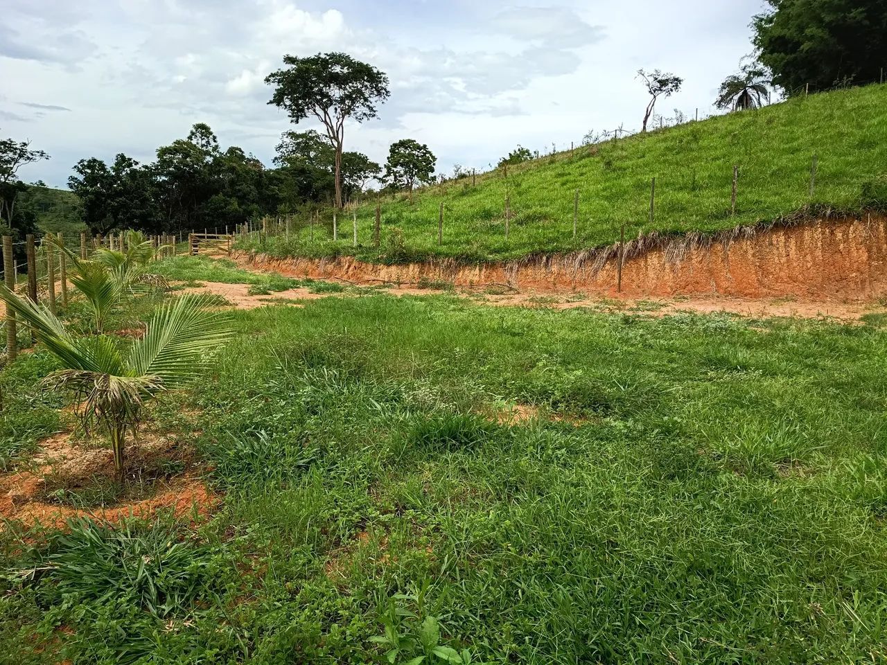 Sítio/fazenda dentro de Ipoema 